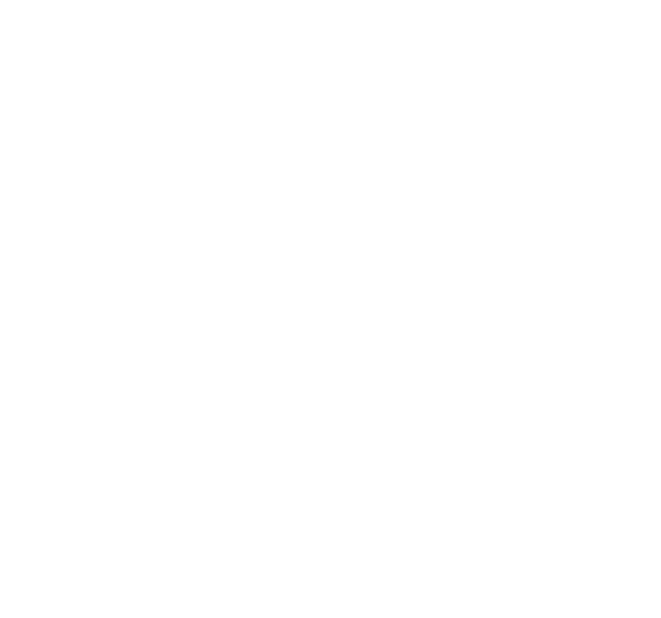 SKATEHUT logo